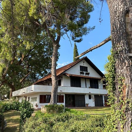 Wild Oaks Cottage Κρυοπηγή Εξωτερικό φωτογραφία
