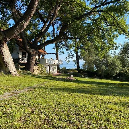 Wild Oaks Cottage Κρυοπηγή Εξωτερικό φωτογραφία