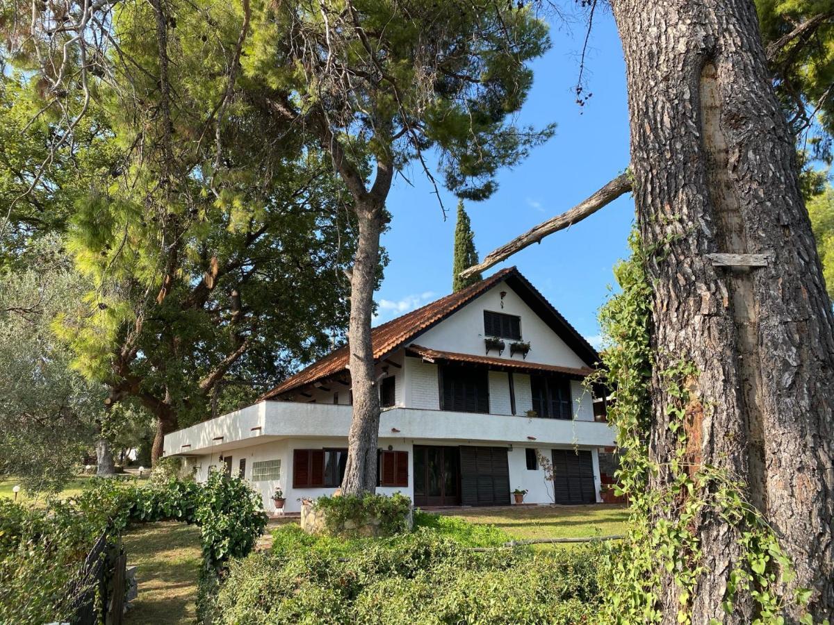 Wild Oaks Cottage Κρυοπηγή Εξωτερικό φωτογραφία