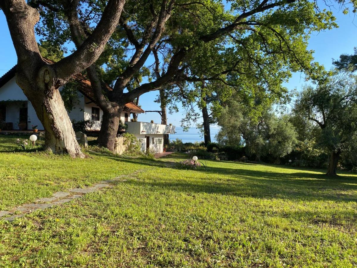 Wild Oaks Cottage Κρυοπηγή Εξωτερικό φωτογραφία