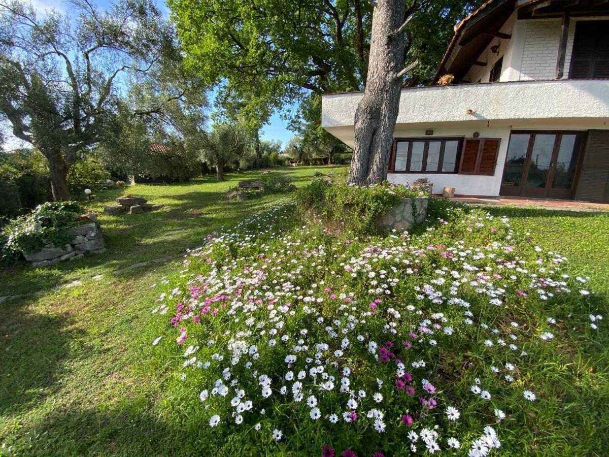 Wild Oaks Cottage Κρυοπηγή Εξωτερικό φωτογραφία