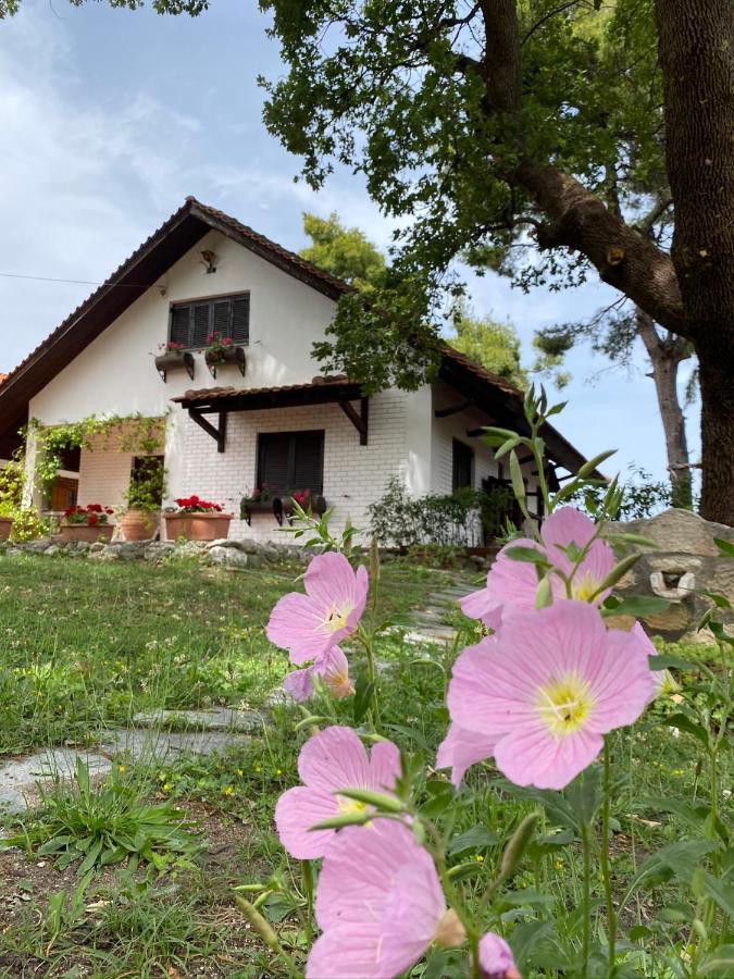 Wild Oaks Cottage Κρυοπηγή Εξωτερικό φωτογραφία
