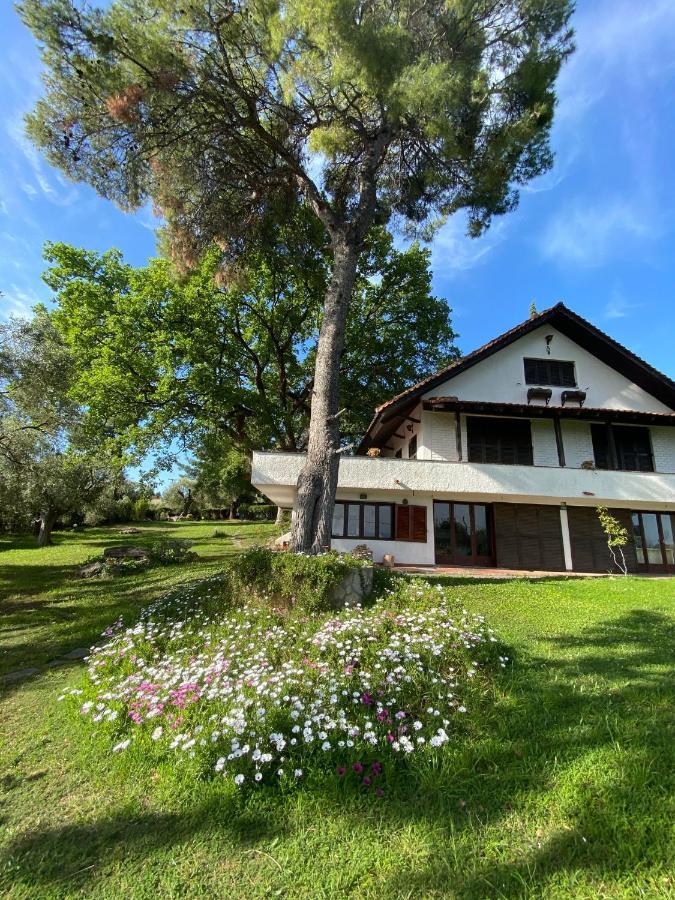 Wild Oaks Cottage Κρυοπηγή Εξωτερικό φωτογραφία