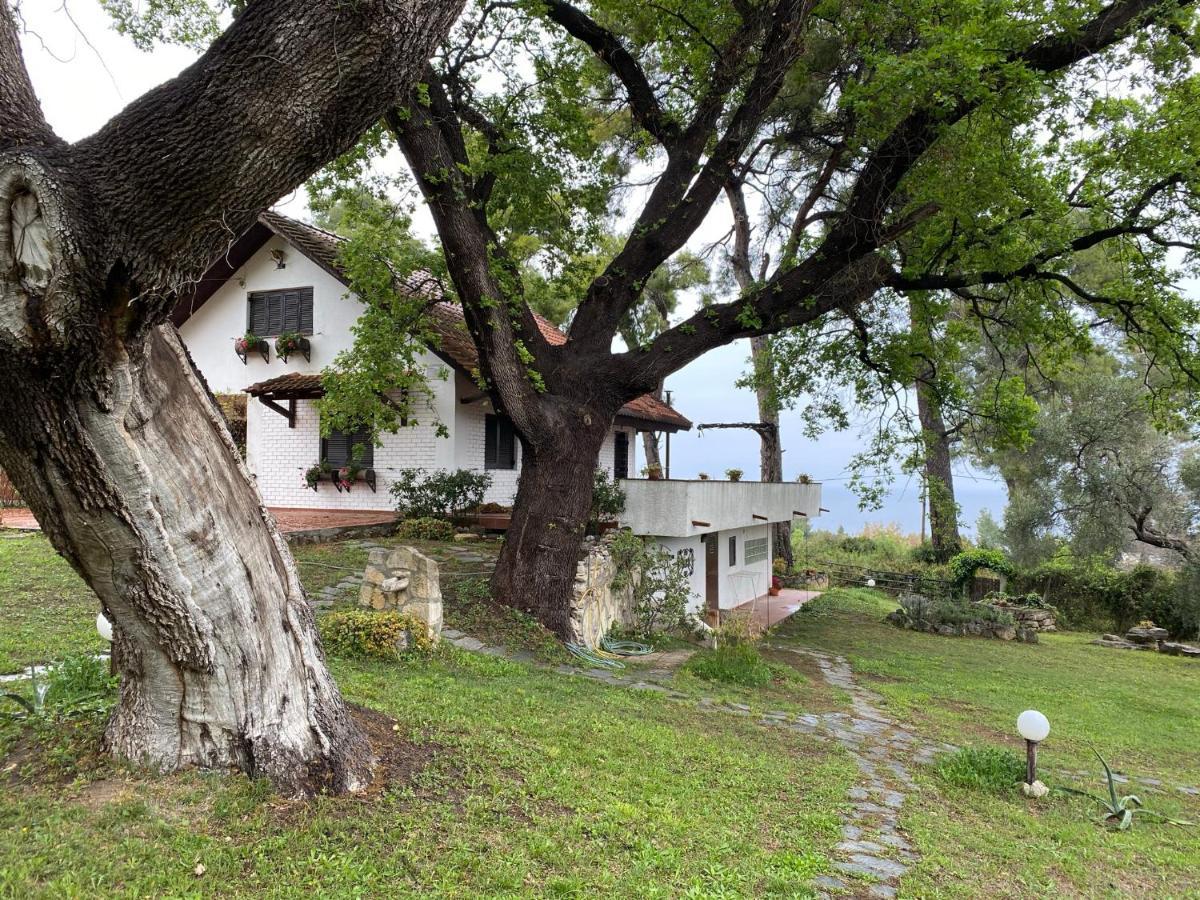 Wild Oaks Cottage Κρυοπηγή Εξωτερικό φωτογραφία