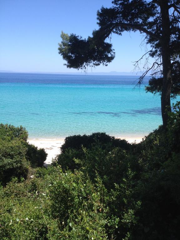 Wild Oaks Cottage Κρυοπηγή Εξωτερικό φωτογραφία